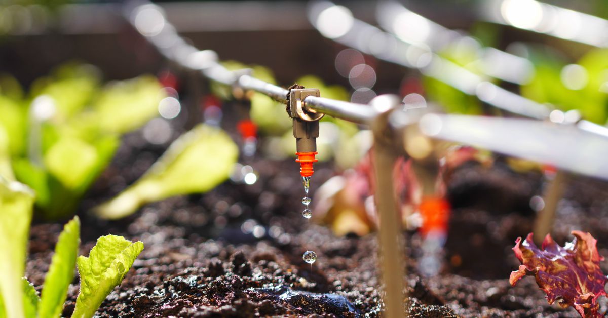 Druppelirrigatie-zelf-maken-1-1