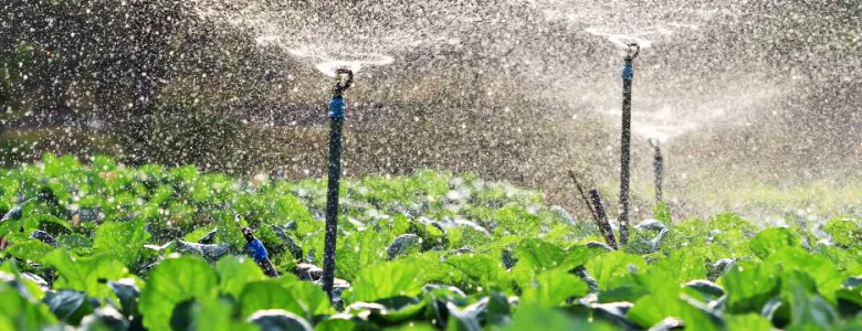 tuin-irrigatie-780x300.jpg